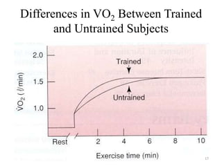 Differences in VO2 Between Trained
and Untrained Subjects
17
 