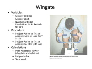 Wingate
• Variables
– Mass of Subject
– Mass of Load
– Number of Pedal
Revolutions in 5 s Periods
for 30 s
• Procedure
– Subject Pedals as fast as
possible with no load for ~
5-10s
– Subject Pedals as fast as
possible for 30 s with load
• Calculations
– Peak Anaerobic Power
(absolute and relative)
– Fatigue Index
– Total Work
 