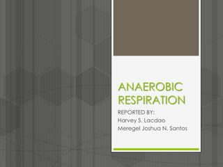 ANAEROBIC
RESPIRATION
REPORTED BY:
Harvey S. Lacdao
Meregel Joshua N. Santos
 
