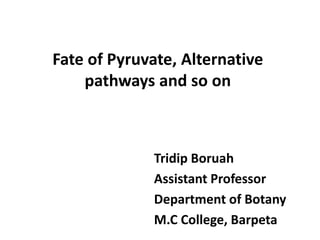Fate of Pyruvate, Alternative
pathways and so on
Tridip Boruah
Assistant Professor
Department of Botany
M.C College, Barpeta
 