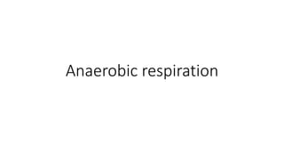 Anaerobic respiration
 