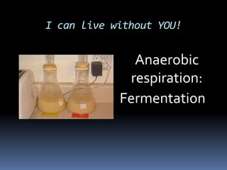 I can live without YOU! 	Anaerobic respiration: Fermentation  