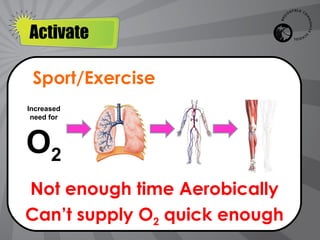 Anaerobic respiration system solo | PPT
