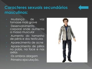 •    Mudança       de     voz
    tornasse mais grave
•    Desenvolvimento
    corporal onde aumenta
    a massa muscular
•    Aumento do tamanho
    de pénis e dos testículos
•    Aparecimento de acne
•    Aparecimento de pêlos
    no púbis, na face e nas
    axilas
•    Os ombros alargam
•    Primeira ejaculação.
 