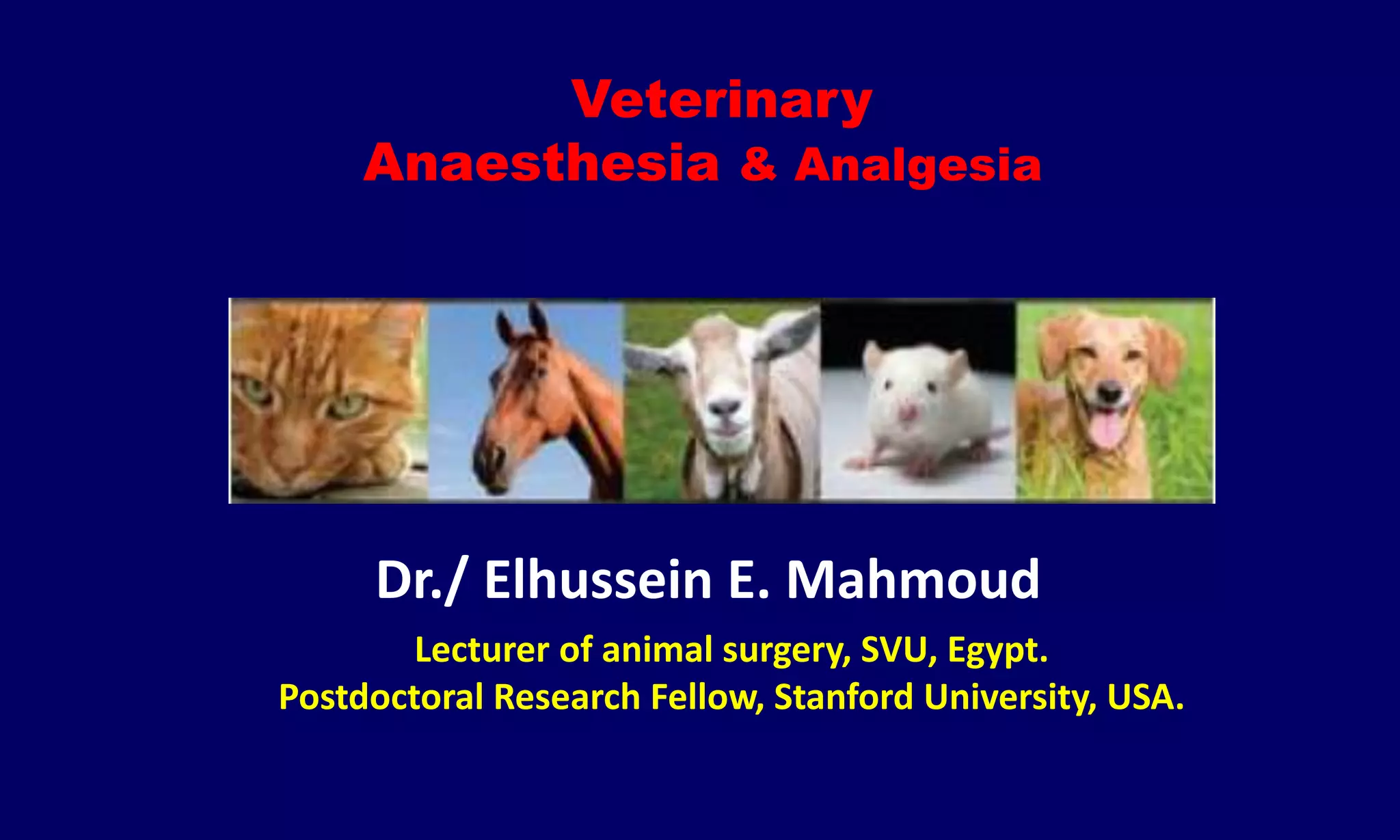 Veterinary Anesthesia PPT