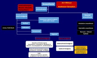 Veterinary Anesthesia | PPTX
