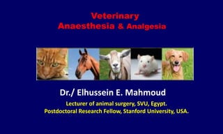 Veterinary
Anaesthesia & Analgesia
Dr./ Elhussein E. Mahmoud
Lecturer of animal surgery, SVU, Egypt.
Postdoctoral Research Fellow, Stanford University, USA.
 