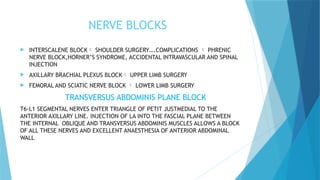 Triangular Nerve Block Patch ANAESTHESIA...PPT surgery topic contains 25 slides | PPTX
