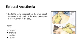 ANAESTHESIA techniques and agents used for | PPTX