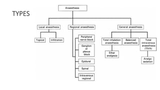Comprehensive Introduction to Anesthesia: Types, Effects, and ...