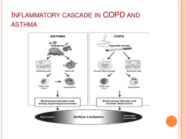 Copd Signs And Symptoms Barrel Chest - Hirup f