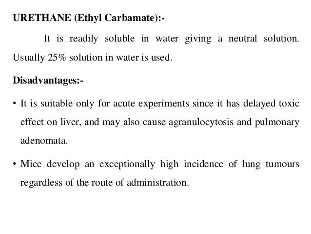 Advantage And Disadvantage Of A Hot Dog Advantage And Disadvantage Of A Hot Dog