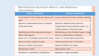 SPINAL ANAESTHESIA EPIDURAL ANAESTHESIA
 