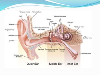 Anaesthesia for ear sugery | PPTX
