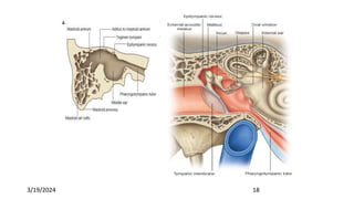 Anaesthesia for Ear, nose, throat surgery.pptx