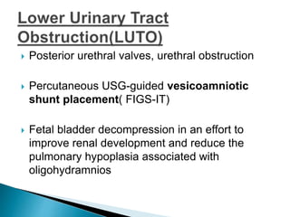  Posterior urethral valves, urethral obstruction
 Percutaneous USG-guided vesicoamniotic
shunt placement( FIGS-IT)
 Fetal bladder decompression in an effort to
improve renal development and reduce the
pulmonary hypoplasia associated with
oligohydramnios
 