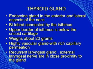 THYROID GLAND
• Endocrine gland in the anterior and lateral
aspects of the neck
• Bi-lobed connected by the isthmus
• Upper border of isthmus is below the
cricoid cartilage
• Weighs about 20 grams
• Highly vascular gland-with rich capillary
permeation
• Recurrent laryngeal gland , external
laryngeal nerve are in close proximity to
the gland
 