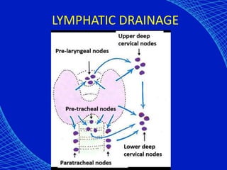 LYMPHATIC DRAINAGE
 