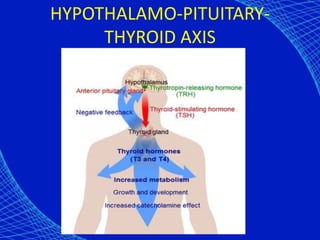HYPOTHALAMO-PITUITARY-
THYROID AXIS
 