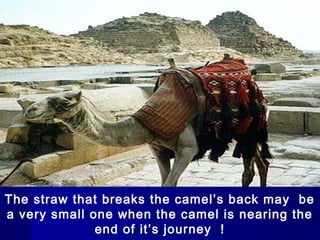 The straw that breaks the camel’s back may be
a very small one when the camel is nearing the
              end of it’s journey !
 