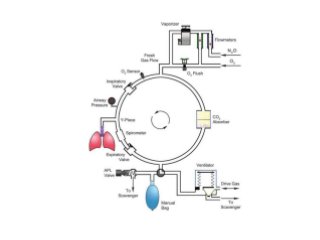 Anaesthesia machine, types and components