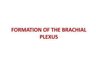FORMATION OF THE BRACHIAL
PLEXUS
 