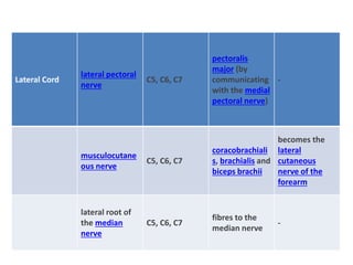 Lateral Cord
lateral pectoral
nerve
C5, C6, C7
pectoralis
major (by
communicating
with the medial
pectoral nerve)
-
musculocutane
ous nerve
C5, C6, C7
coracobrachiali
s, brachialis and
biceps brachii
becomes the
lateral
cutaneous
nerve of the
forearm
lateral root of
the median
nerve
C5, C6, C7
fibres to the
median nerve
-
 