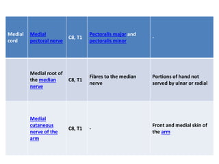 Medial
cord
Medial
pectoral nerve
C8, T1
Pectoralis major and
pectoralis minor
-
Medial root of
the median
nerve
C8, T1
Fibres to the median
nerve
Portions of hand not
served by ulnar or radial
Medial
cutaneous
nerve of the
arm
C8, T1 -
Front and medial skin of
the arm
 