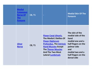 Medial
Cutaneous
Nerve Of
The
Forearm
C8, T1 -
Medial Skin Of The
Forearm
Ulnar
Nerve
C8, T1
Flexor Carpi Ulnaris,
The Medial 2 Bellies Of
Flexor Digitorum
Profundus, The Intrinsic
Hand Muscles Except
The Thenar Muscles
And The Two Most
Lateral Lumbricals
The skin of the
medial side of the
hand
medial one and a
half fingers on the
palmar side
and
medial two and a
half fingers on the
dorsal side
 