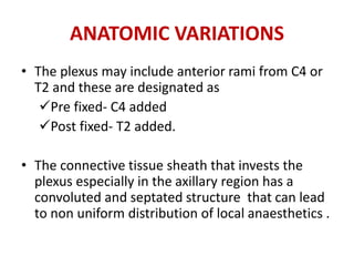 • The plexus may include anterior rami from C4 or
T2 and these are designated as
Pre fixed- C4 added
Post fixed- T2 added.
• The connective tissue sheath that invests the
plexus especially in the axillary region has a
convoluted and septated structure that can lead
to non uniform distribution of local anaesthetics .
ANATOMIC VARIATIONS
 