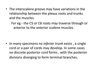 • The interscalene groove may have variations in the
relationship between the plexus roots and trunks
and the muscles.
For eg.- the C5 or C6 roots may traverse through or
anterior to the anterior scalene muscles.
• In many specimens no inferior trunk exists , a single
cord or a pair of cords may develop. In some cases
no discrete posterior cord forms , with the posterior
divisions diverging to form terminal branches.
 