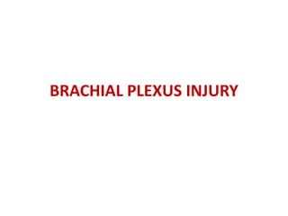 BRACHIAL PLEXUS INJURY
 