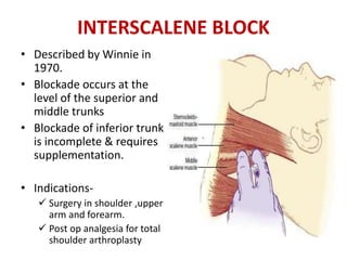INTERSCALENE BLOCK
• Described by Winnie in
1970.
• Blockade occurs at the
level of the superior and
middle trunks
• Blockade of inferior trunk
is incomplete & requires
supplementation.
• Indications-
 Surgery in shoulder ,upper
arm and forearm.
 Post op analgesia for total
shoulder arthroplasty
 