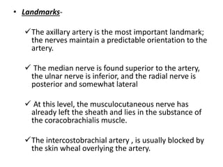 • Landmarks-
The axillary artery is the most important landmark;
the nerves maintain a predictable orientation to the
artery.
 The median nerve is found superior to the artery,
the ulnar nerve is inferior, and the radial nerve is
posterior and somewhat lateral
 At this level, the musculocutaneous nerve has
already left the sheath and lies in the substance of
the coracobrachialis muscle.
The intercostobrachial artery , is usually blocked by
the skin wheal overlying the artery.
 