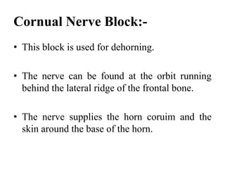 Mental Nerve Block:-
• To desensitize the dental nerves of the lower
  jaw in the mandibular canal and at the mental
  for...