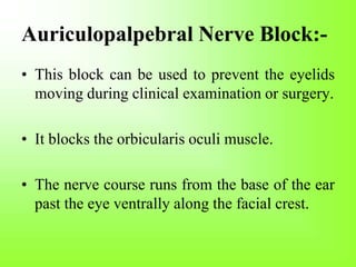 Auriculopalpebral Nerve Block:-
• This block can be used to prevent the eyelids
moving during clinical examination or surgery.
• It blocks the orbicularis oculi muscle.
• The nerve course runs from the base of the ear
past the eye ventrally along the facial crest.
 