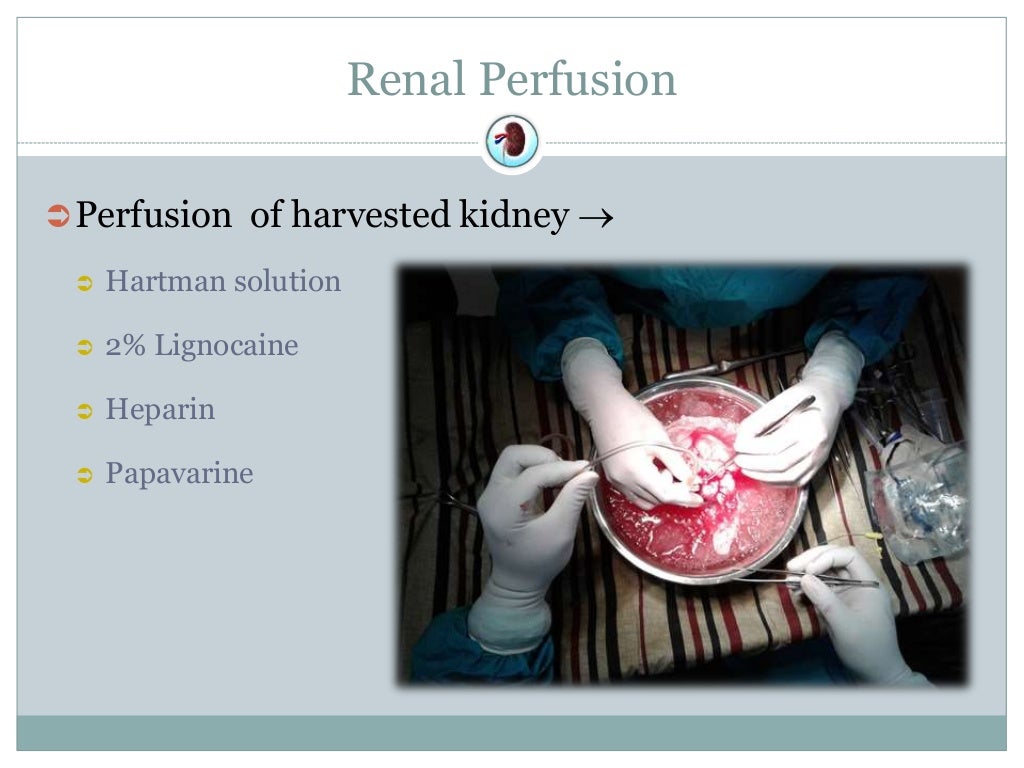 Anaesthesia for Kidney Transplant