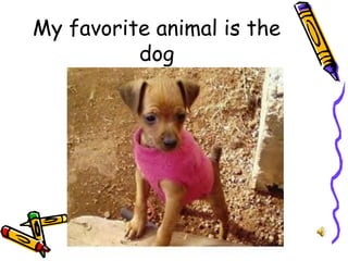 My favorite animal is the
dog
 