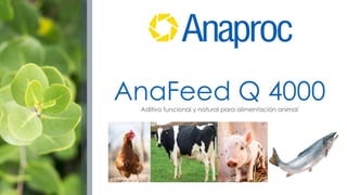 AnaFeed Q 4000
Aditivo funcional y natural para alimentación animal
 