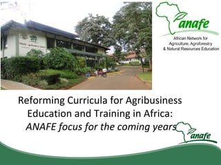 Reforming Curricula for Agribusiness
Education and Training in Africa:
ANAFE focus for the coming years

 