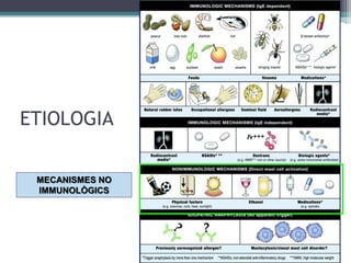 ETIOLOGIA
MECANISMES NO
IMMUNOLÒGICS
 