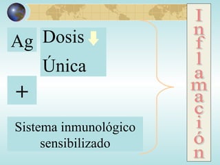 Ag Dosis Única Sistema inmunológico sensibilizado + Inflamación 