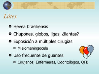 Látex Hevea brasiliensis Chupones, globos, ligas, ¿llantas? Exposición a múltiples cirugías Mielomeningocele Uso frecuente de guantes Cirujanos, Enfermeras, Odontólogos, QFB 