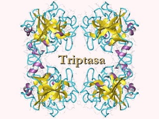Triptasa 