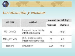 Localización y enzimas 
