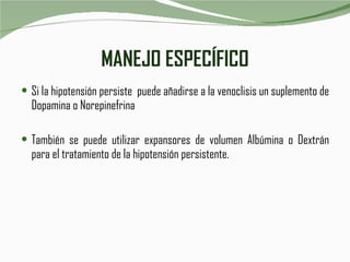 MANEJO ESPECÍFICO Si la hipotensión persiste  puede añadirse a la venoclisis un suplemento de Dopamina o Norepinefrina  También se puede utilizar expansores de volumen Albúmina o Dextrán para el tratamiento de la hipotensión persistente.  