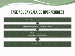 FASE AGUDA (SALA DE OPERACIONES ) 