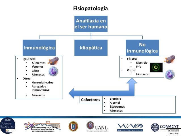 Cofactores de anafilaxia y nuevas guías patológicas