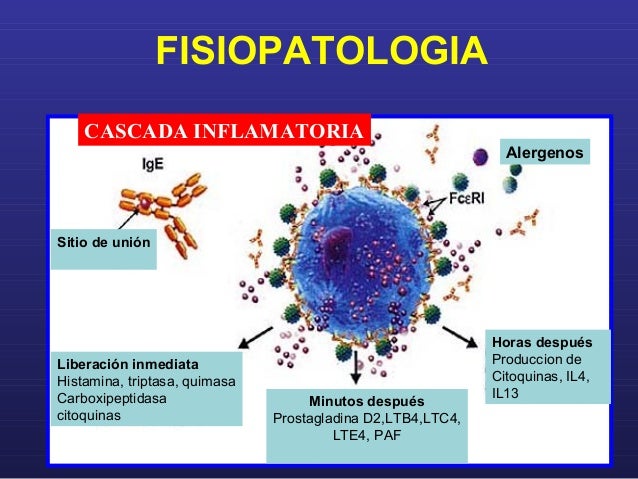 Anafilaxia clase 2015