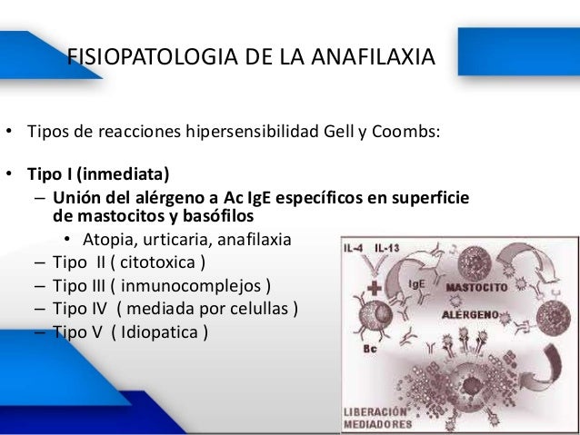 Anafilaxia version final